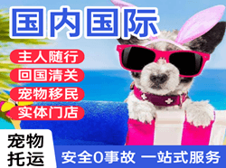 温州机场空运国际宠物托运 【国